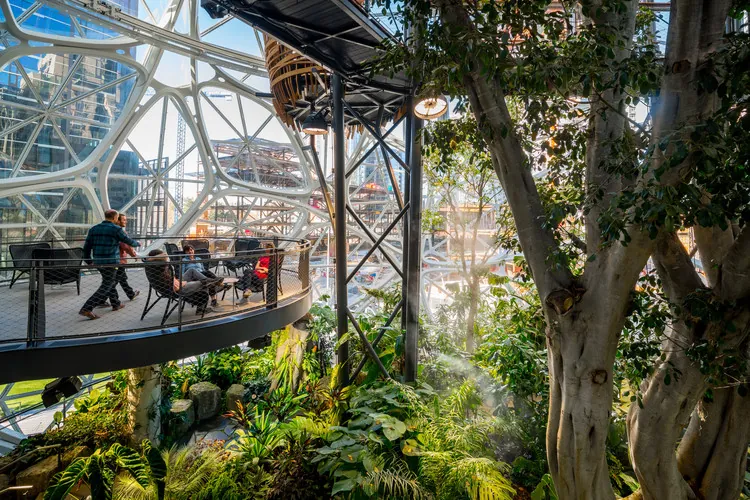 Amazon Spheres