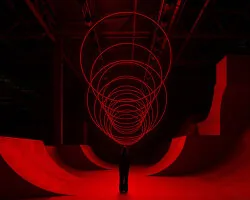 Bonito Pullarıyla Sürekli Hareket: Katsuo Gravity Enstalasyonu