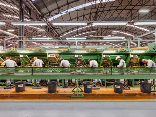 Domates Almería'yı Nasıl İnşa Etti? Yediklerimiz Dünyayı Şekillendiriyor