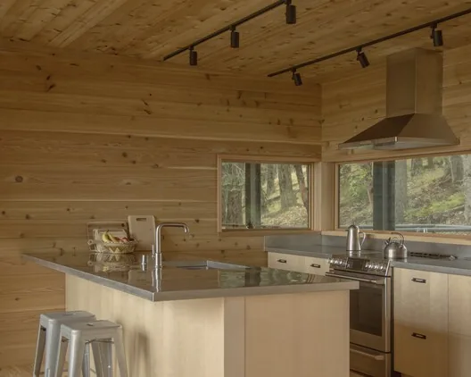 Metabolist Mimarlıktan Esinlenen Düşük Etkili Kabin: Trestle Cabin