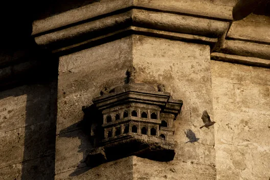 İnsanötesi Mimarlık: Sokaklar Artık Sadece Bizim Değil
