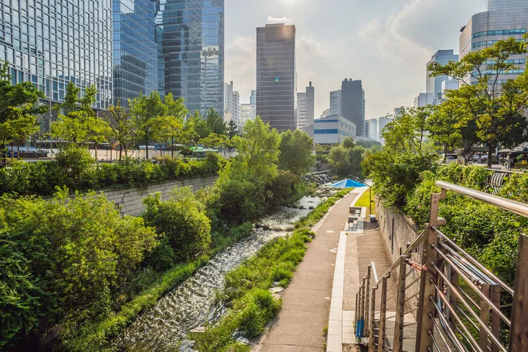 Sokaklar Artık Sadece Bizim Değil: İnsanötesi Mimarlık