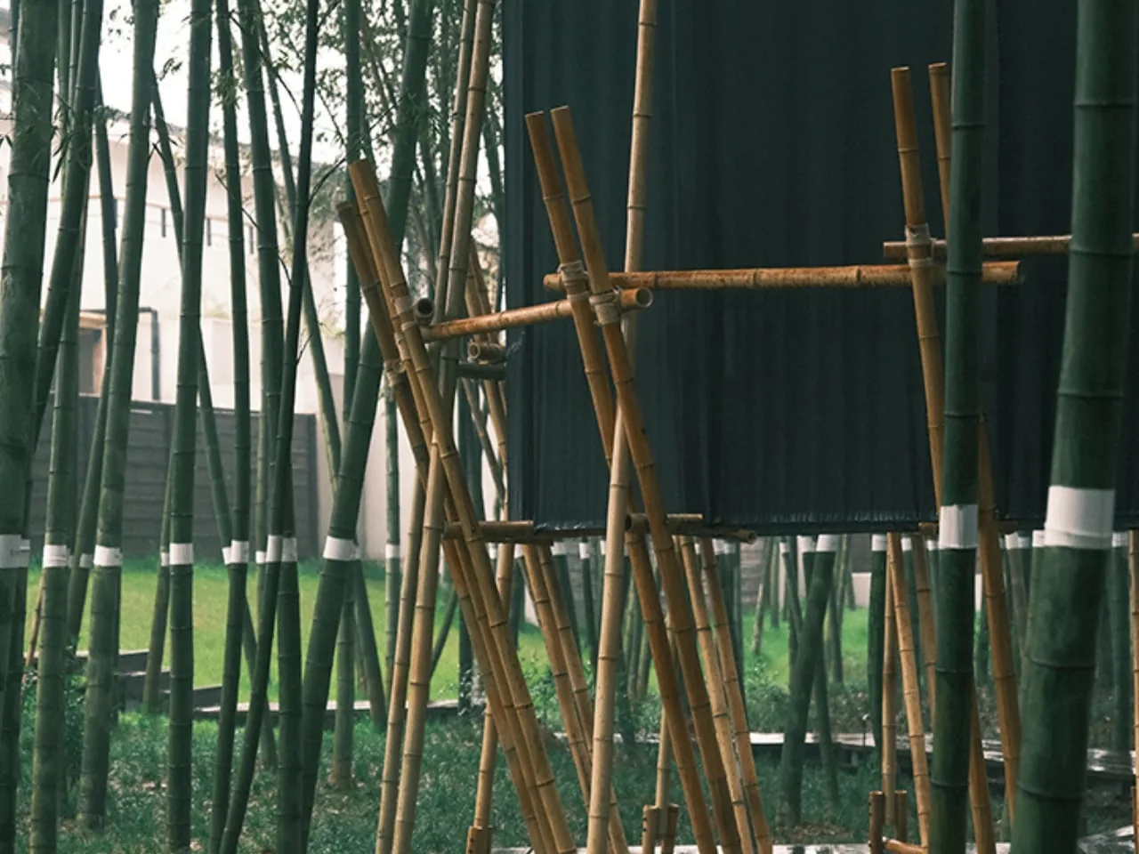 28 m² Bambu Kule: Çin'de Tasarımın Alçakgönüllü Gücü