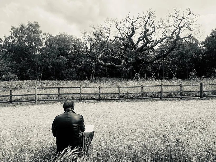 Ai Weiwei’nin 50 Yıl Sonraki İlk Çizimi: Ölen Bir Ağaç