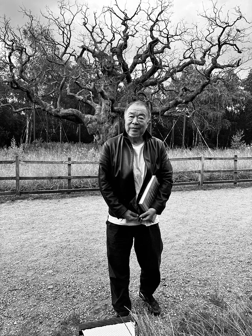 Ai Weiwei’nin 50 Yıl Sonraki İlk Çizimi: Ölen Bir Ağaç