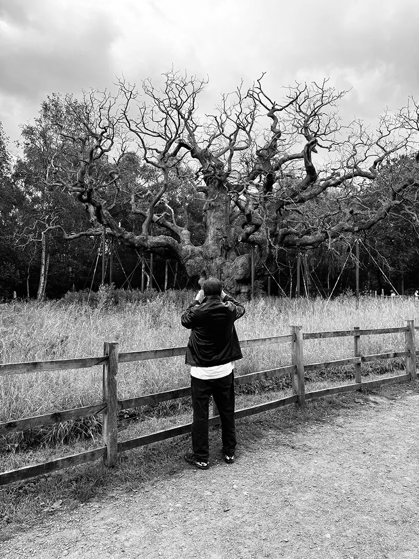 Ai Weiwei’nin 50 Yıl Sonraki İlk Çizimi: Ölen Bir Ağaç