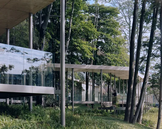 Aranya Sanat Merkezi: Ağaçlarla Dans Eden Guangzhou
