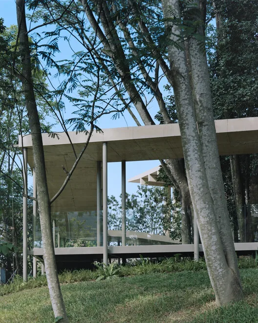 Aranya Sanat Merkezi: Ağaçlarla Dans Eden Guangzhou
