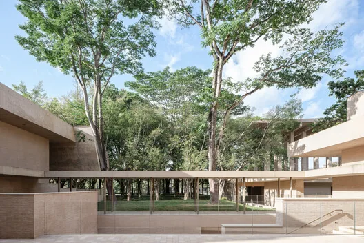 Aranya Sanat Merkezi: Ağaçlarla Dans Eden Guangzhou