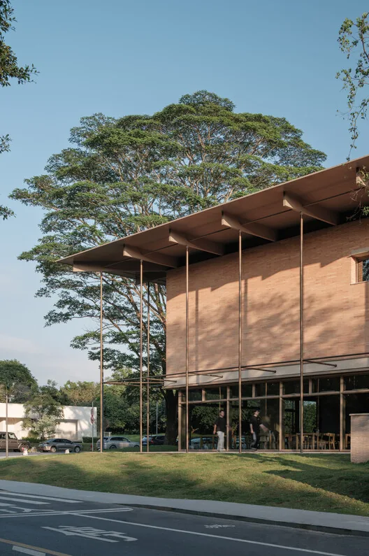 Aranya Sanat Merkezi Guangzhou: Ağaçlarla Dans Eden Mimari