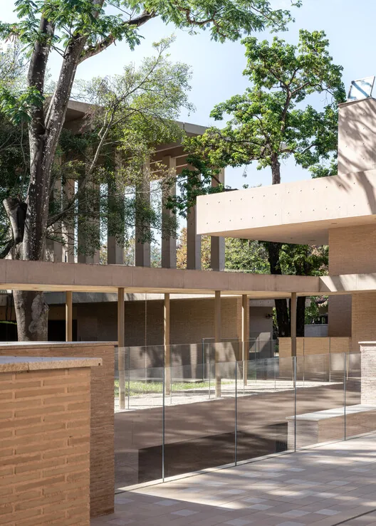 Aranya Sanat Merkezi Guangzhou: Ağaçlarla Dans Eden Mimari