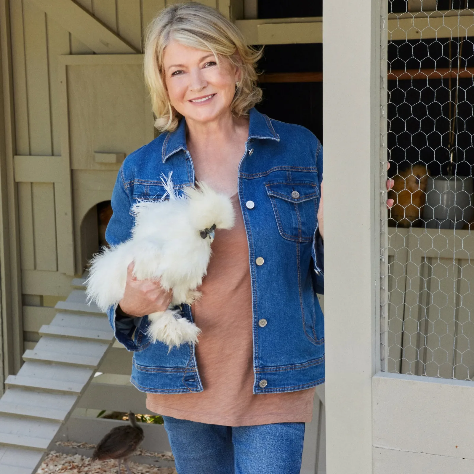 Martha Stewart’ın Tavuk Yumurtalarından İlham Alan Tasarım: Hachiman’ın Yeni Renk Paleti