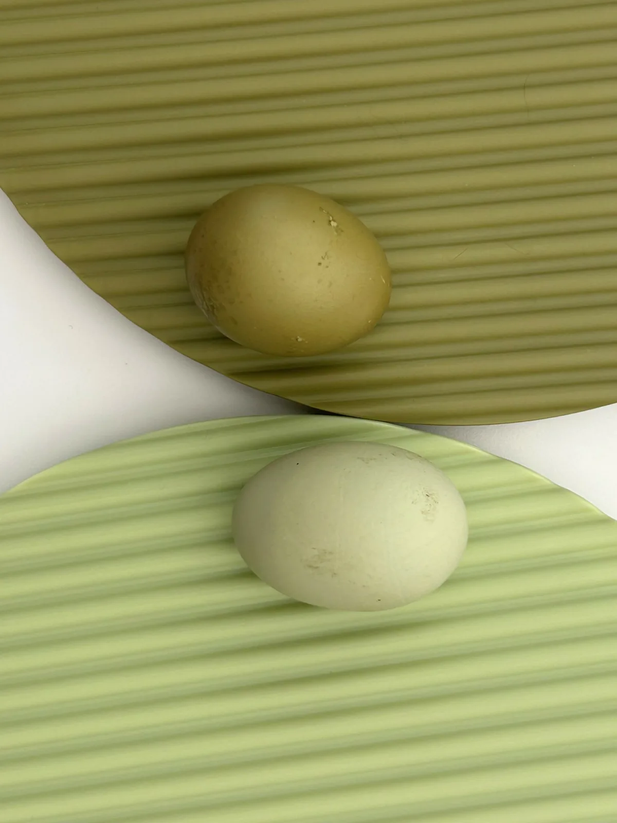 Martha Stewart'ın Yumurtalarından İlham: Hachiman'ın Pastel Koleksiyonu