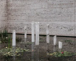 Mies'in Heykel Bahçesinde Sis: Nakaya'nın Geçici Müdahalesi