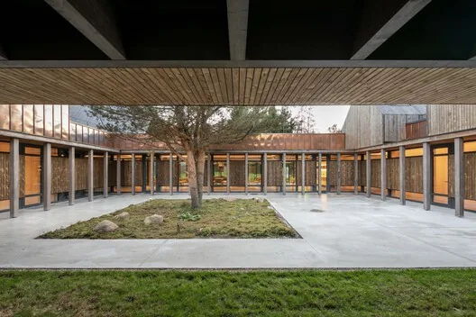SANCTUM: Litvanya Ormanında Doğa Terapi Kaçamağı