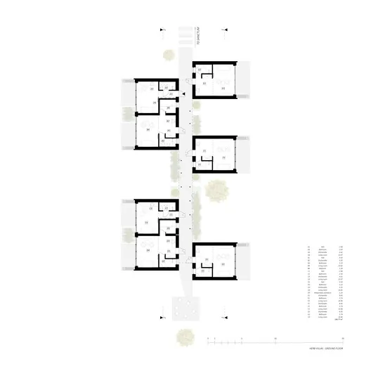 SANCTUM: Litvanya Ormanında Doğa Terapi Kaçamağı