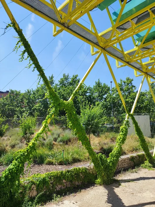 Döngüsel Bahçe: CIEC ile Madrid'de Doğa Ekonomiye Karışıyor