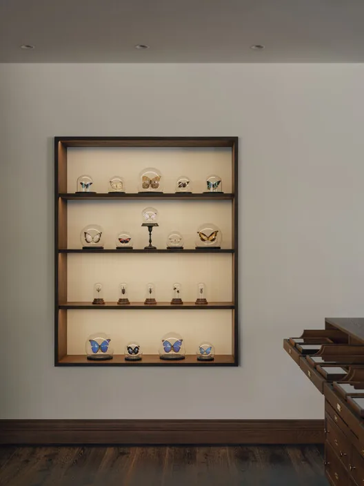 Modern Beton Kabuğunda Vahşi Tarih: Wild's Collection