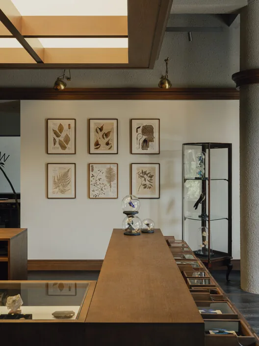 Modern Beton Kabuğunda Vahşi Tarih: Wild's Collection