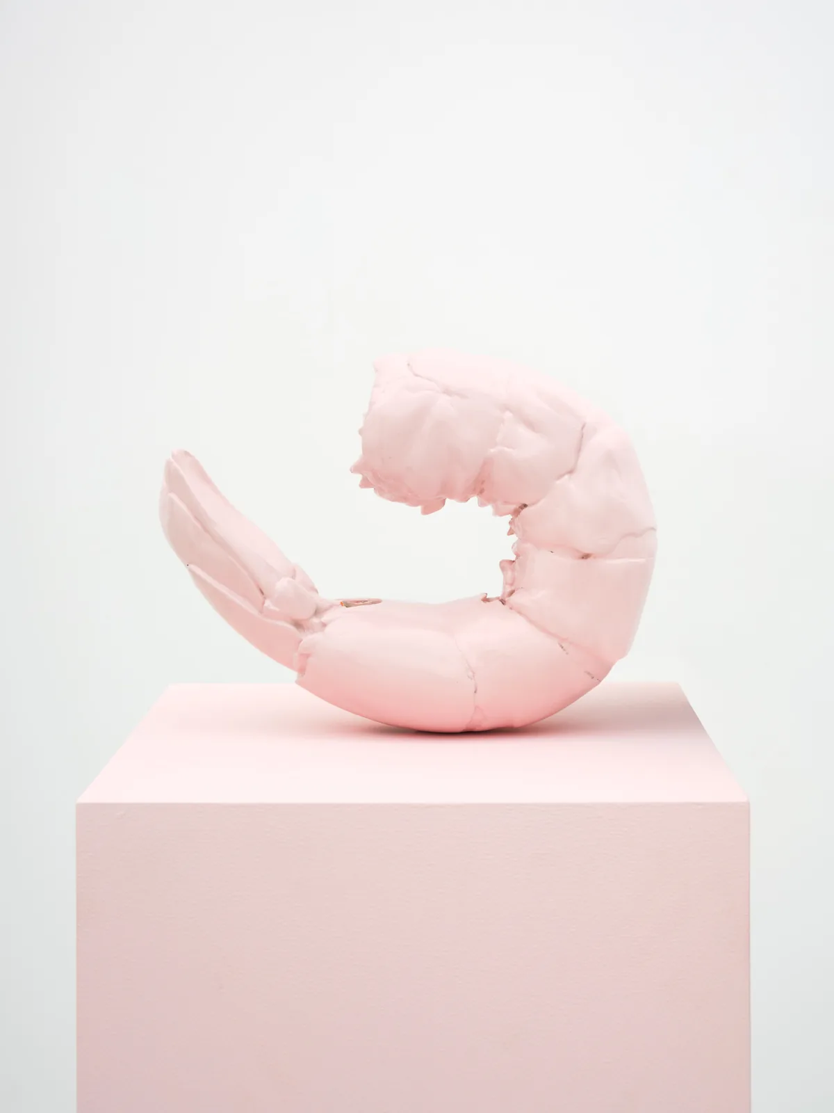 Pastel: Cj Hendry'nin Milyon Boncuklu Dev Enstalasyonu