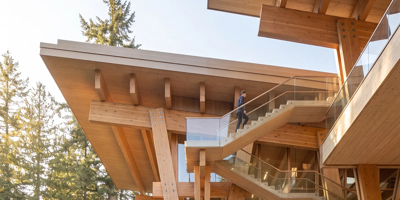 Vancouver’da Ahşap Fabrikası: Üzerinde Yürünebilen Çatı