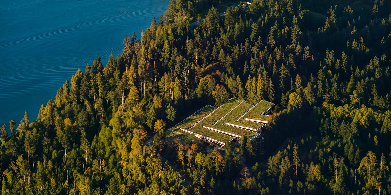 Vancouver’da Ahşap Fabrikası: Üzerinde Yürünebilen Çatı