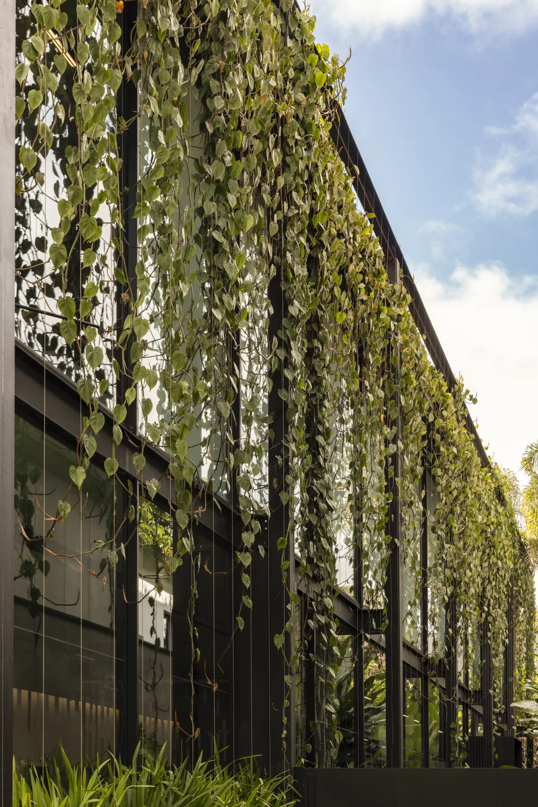 Paola Lenti São Paulo: Yaşayan Cepheli Amiral Mağazası